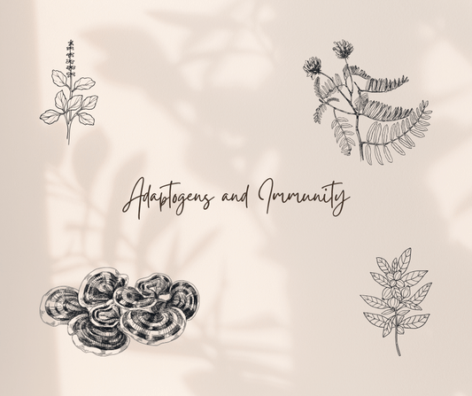 Adaptogens and Immunity - balaveda