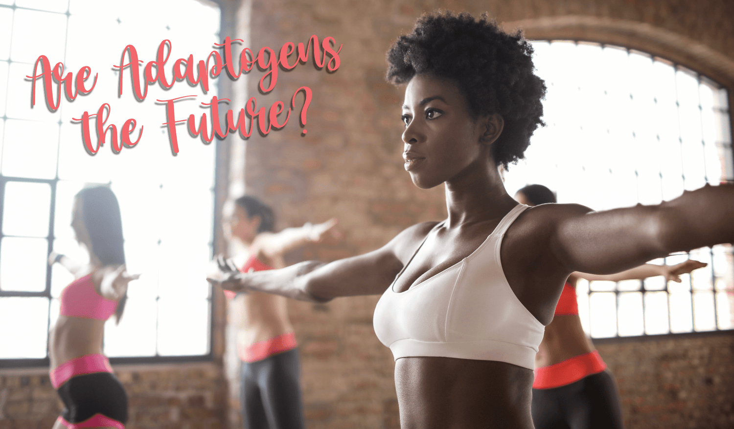 Are Adaptogens the Future? - balaveda