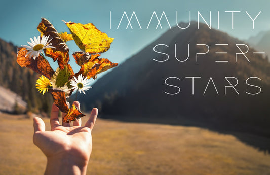 Best adaptogens for Immunity - BalaVeda