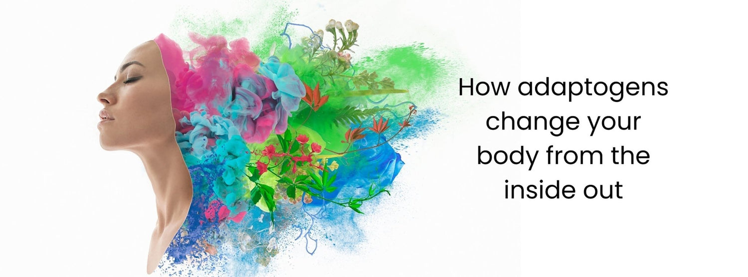 How adaptogens change your body from the inside out. - balaveda
