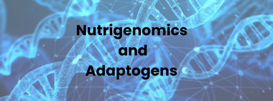 How do adaptogens play a role in gene expression? - BalaVeda