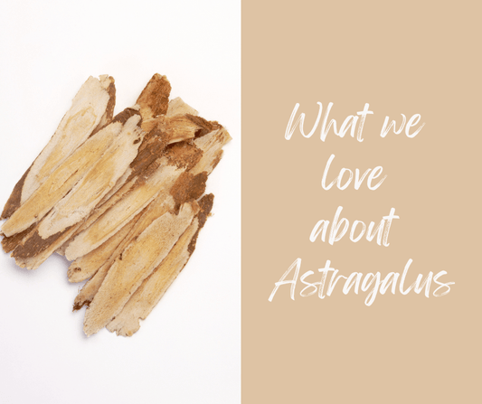 Ingredient Highlight: Astragalus - BalaVeda
