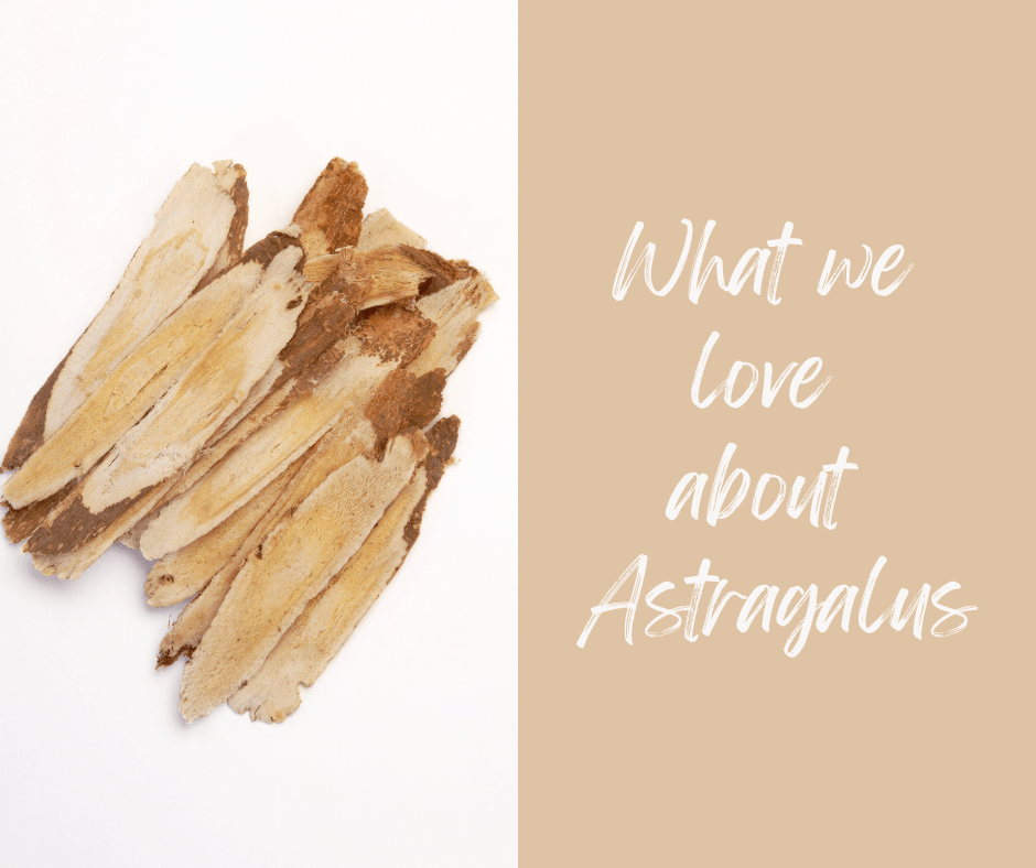 Ingredient Highlight: Astragalus - balaveda