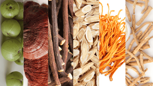 Meet the Super 6 adaptogens in Kapow Cacao - BalaVeda