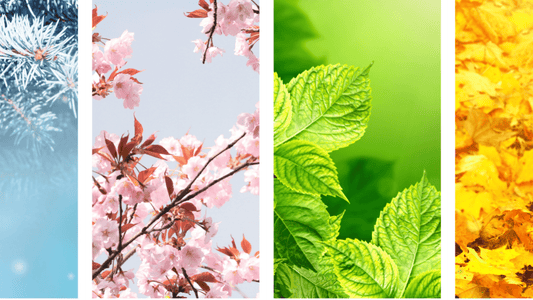 Seasonal Inflammation - BalaVeda