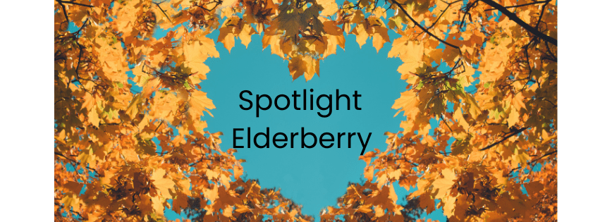 Unlocking nature's immunity secrets - balaveda