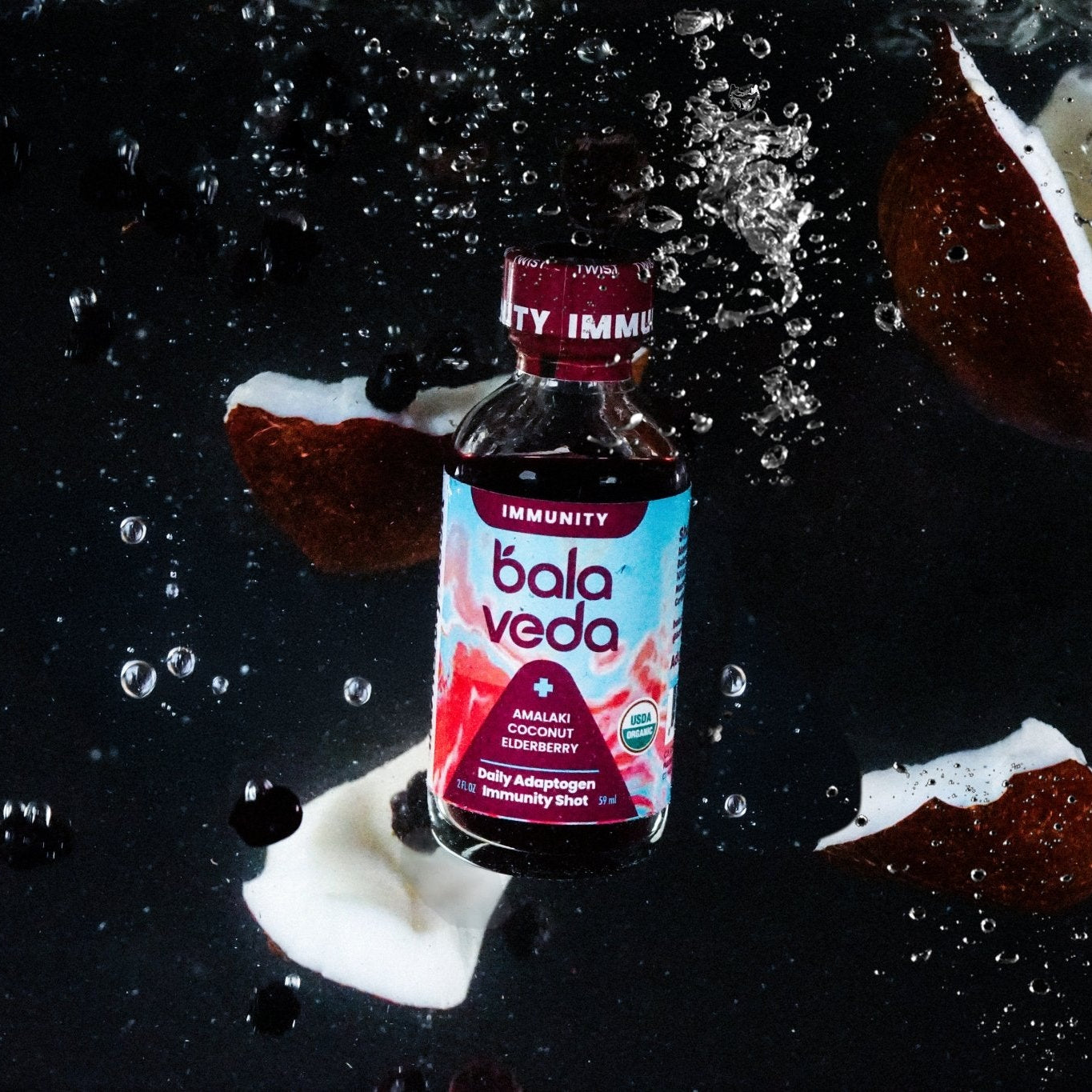 Epic Elderberry Immunity Shot - balaveda