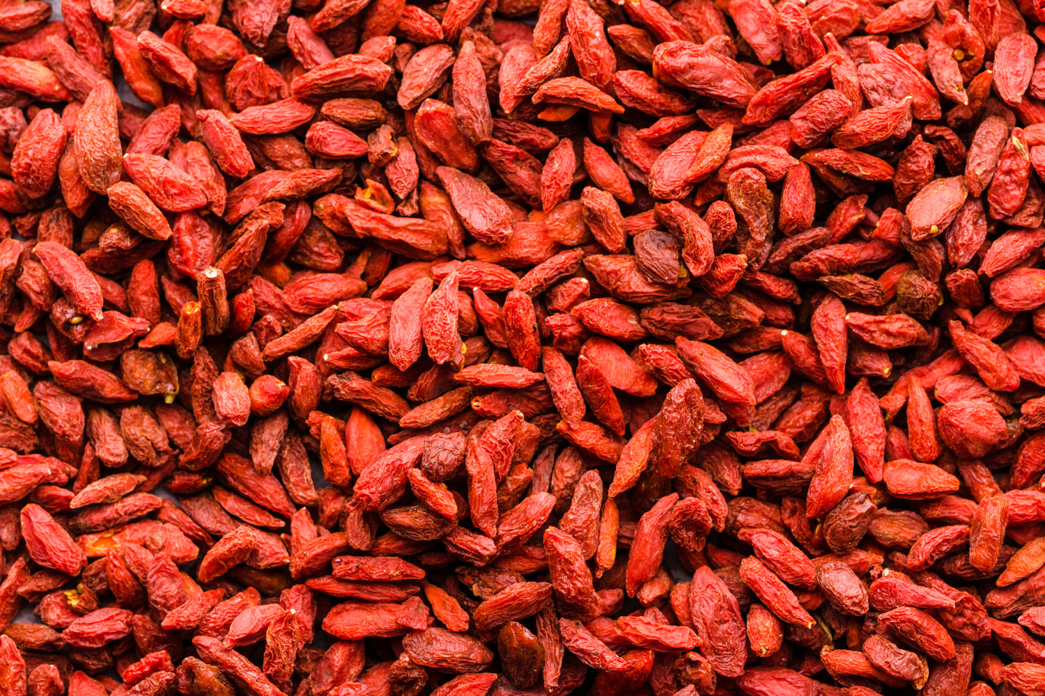 Close-up of dried red goji berries