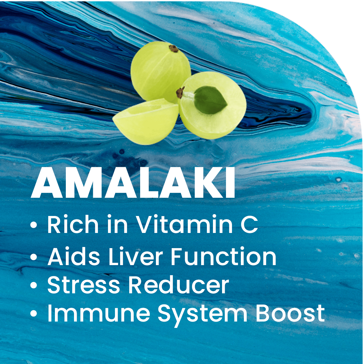 100% Organic Elderberry + Coconut + Amalaki Adaptogen Immunity Shot