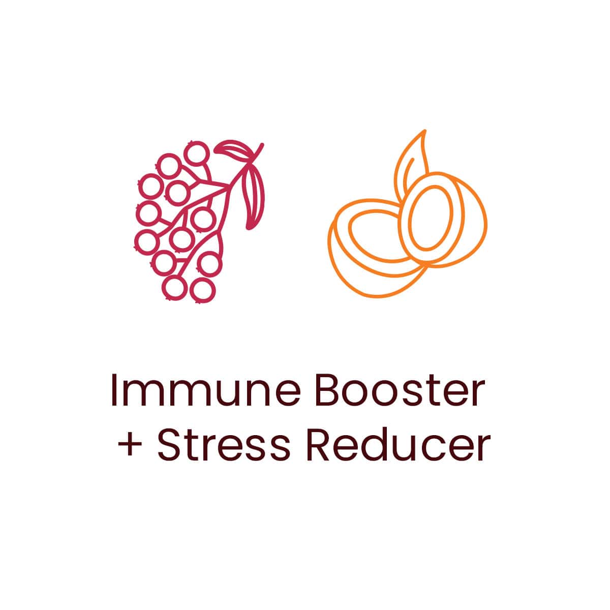 100% Organic Elderberry + Coconut + Amalaki Adaptogen Immunity Shot