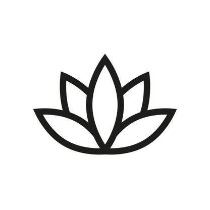 beauty lotus flower