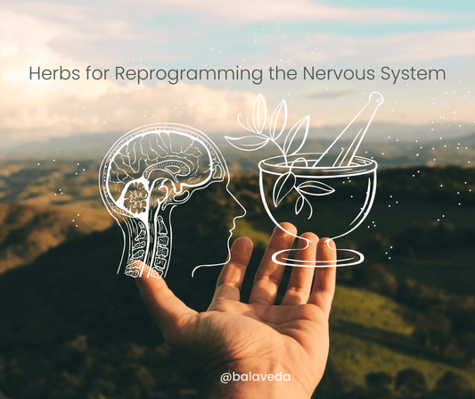 HERBS FOR REPROGRAMMING THE NERVOUS SYSTEM - BalaVeda