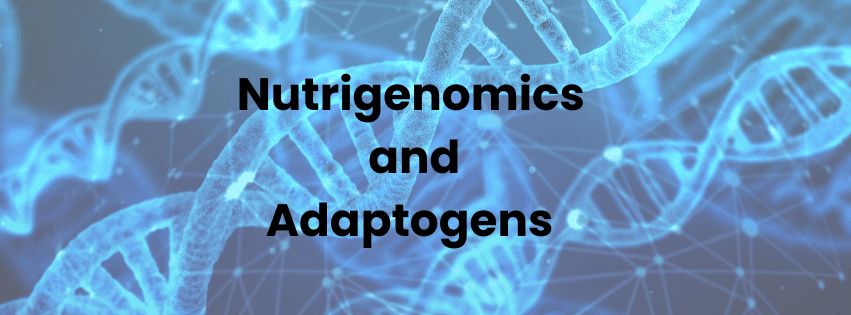 How do adaptogens play a role in gene expression? - balaveda