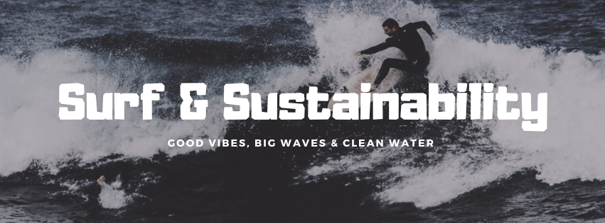 Surf and Sustainability - BalaVeda