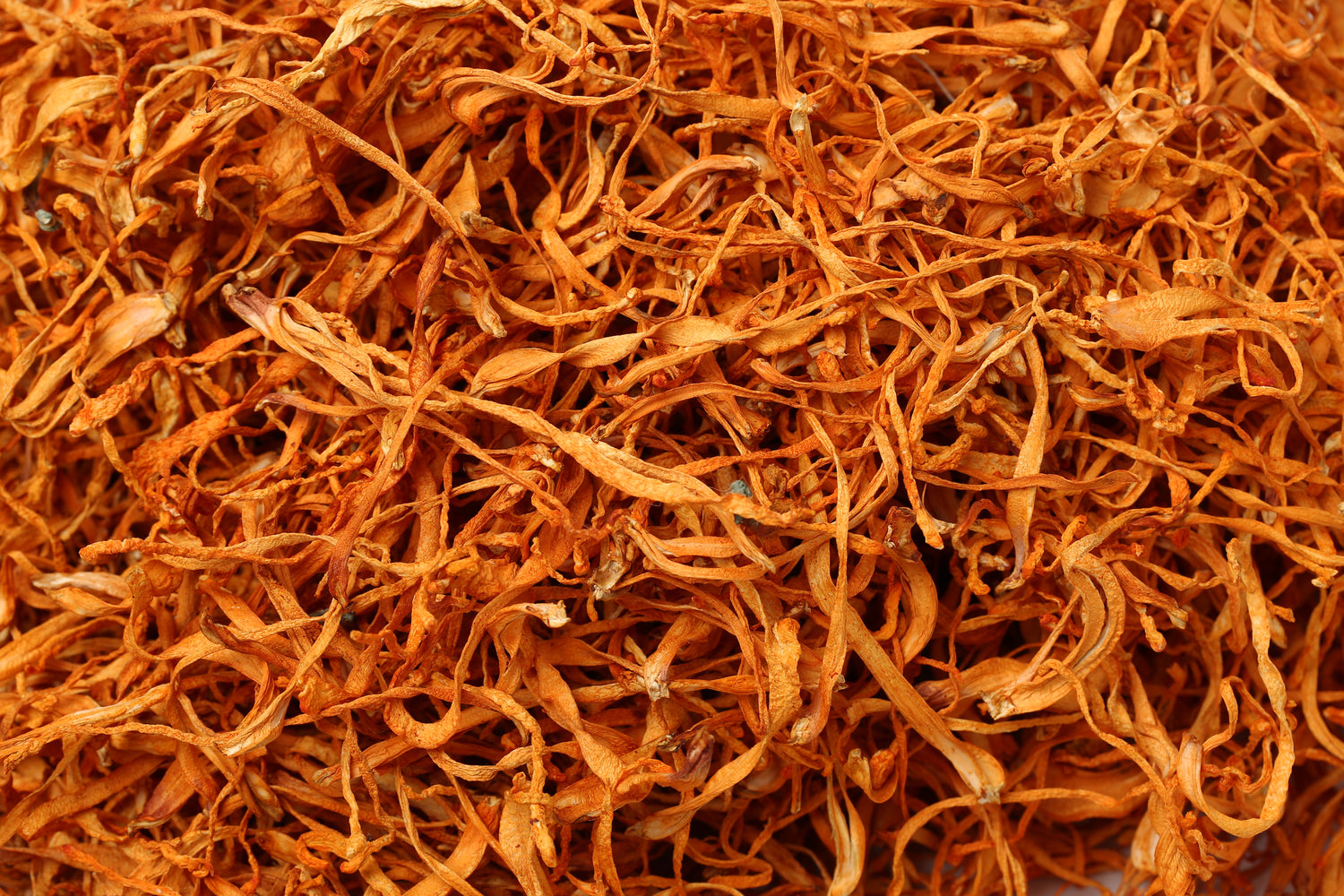 Close-up of dried orange plant leaves