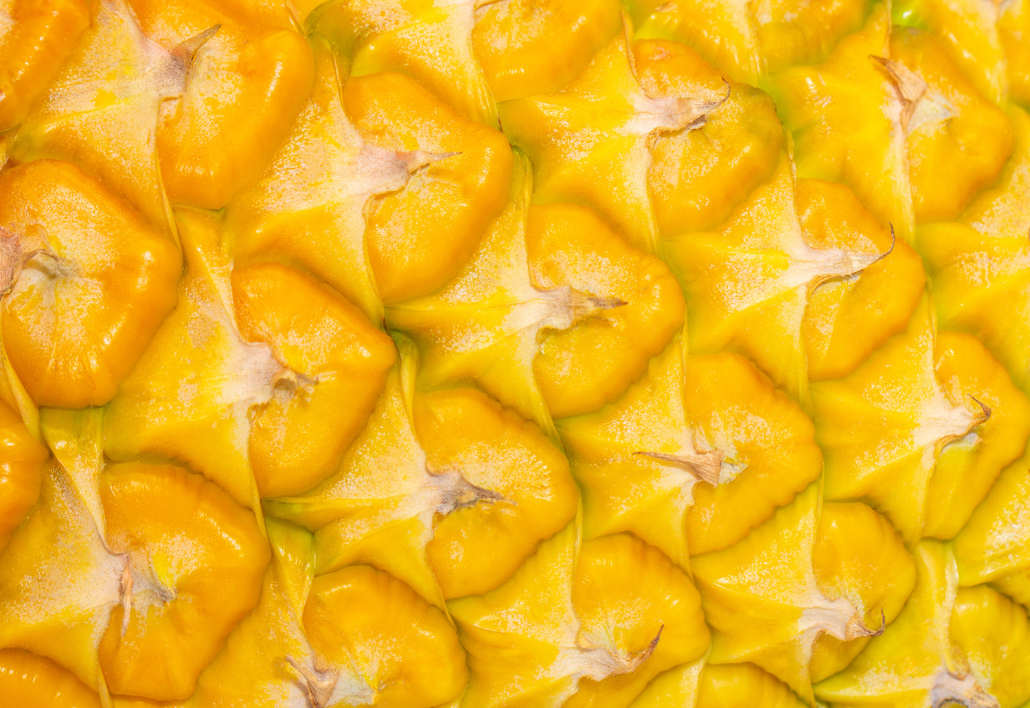 Close-up of a pineapple's yellow exocarp