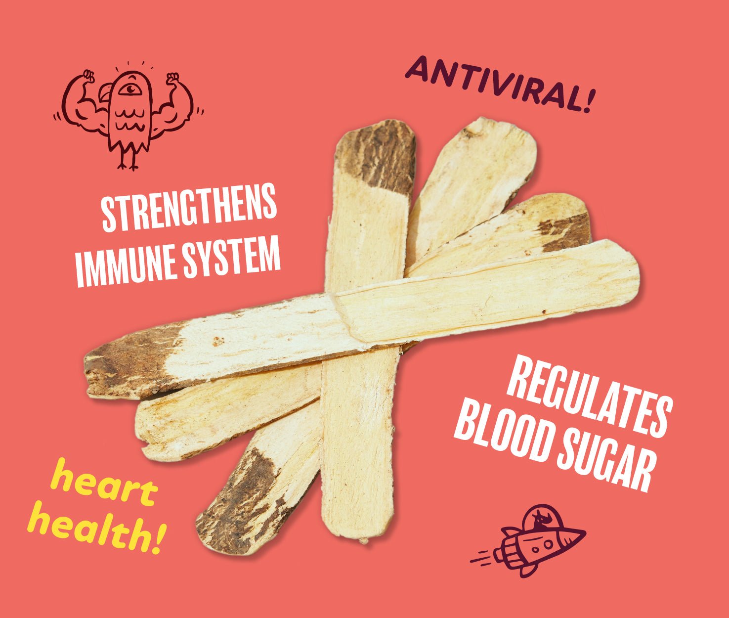 Totally Turmeric – USDA Organic Immunity & Detox Shot with Turmeric, Ginger & Astragalus - BalaVeda