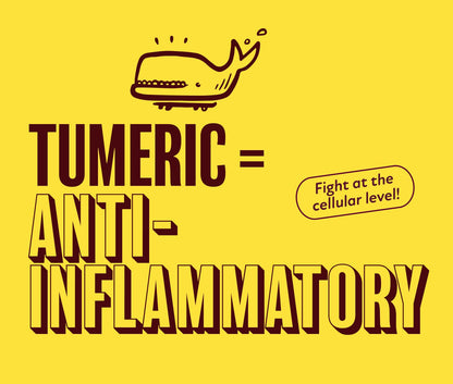 Totally Turmeric – USDA Organic Immunity & Detox Shot with Turmeric, Ginger & Astragalus - BalaVeda