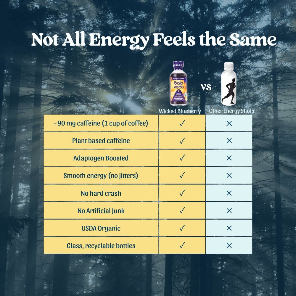 Wicked Blueberry Energy Shot - balaveda