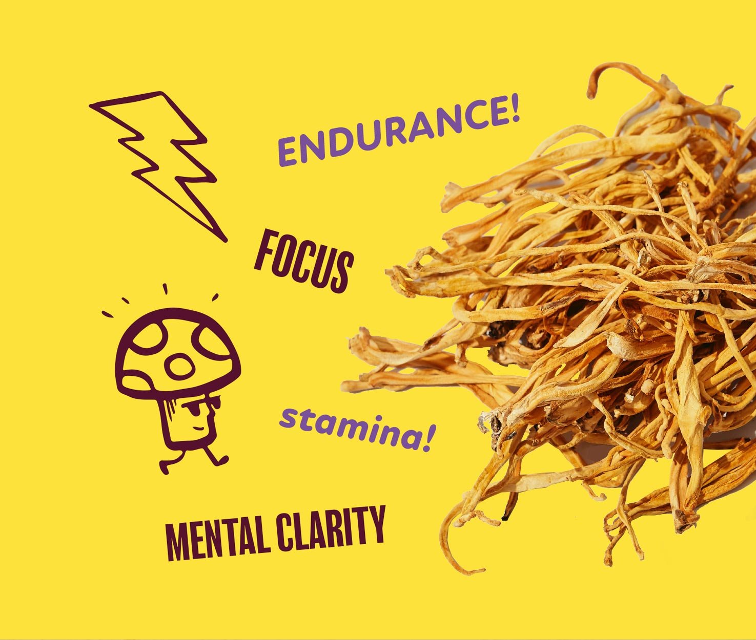 Wicked Blueberry – USDA Organic Adaptogenic Energy Shot with Cordyceps, L - Theanine & Anti - Inflammatory Support - BalaVeda