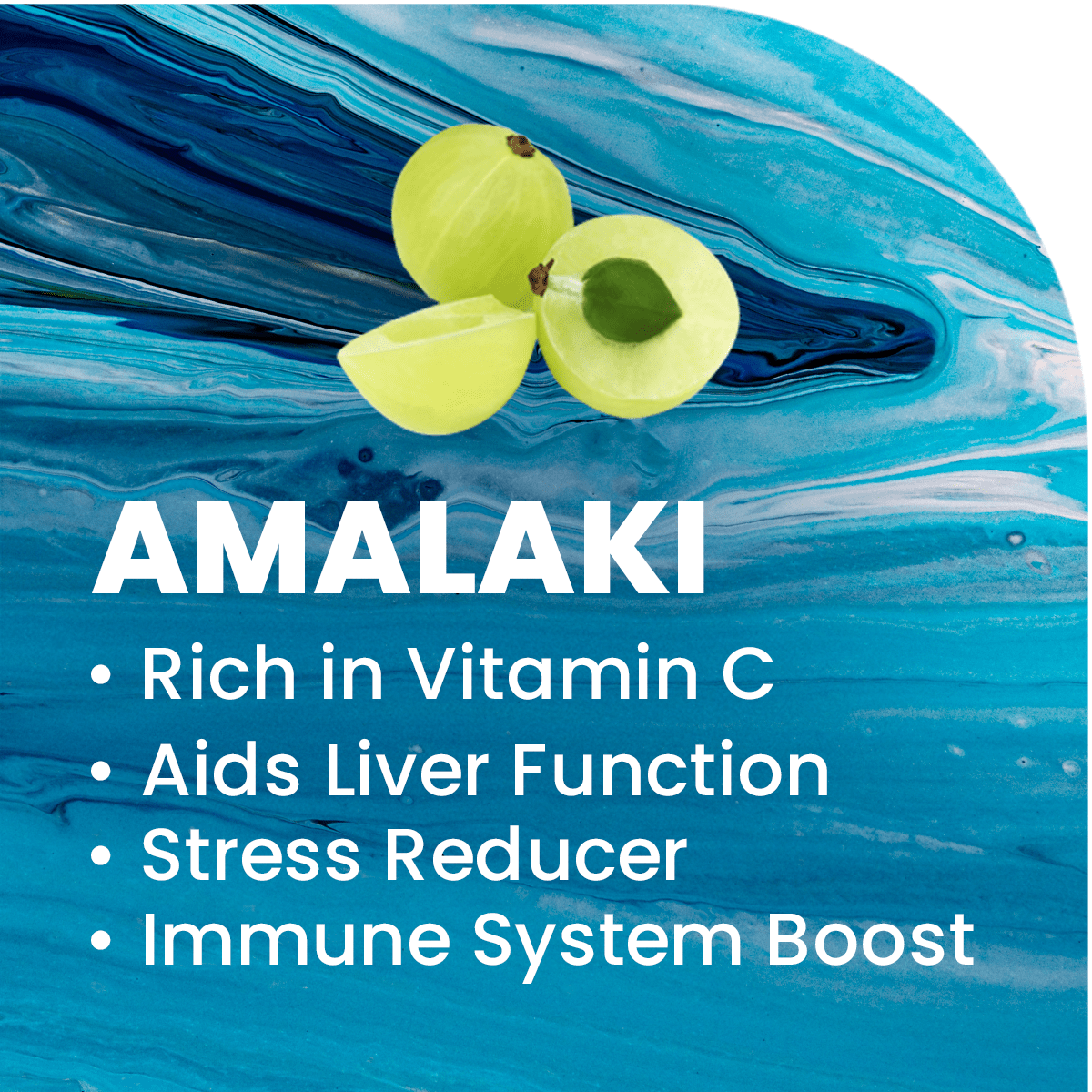 adaptogen amalaki stress reducer