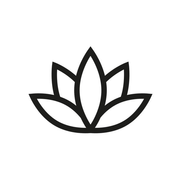 beauty lotus flower